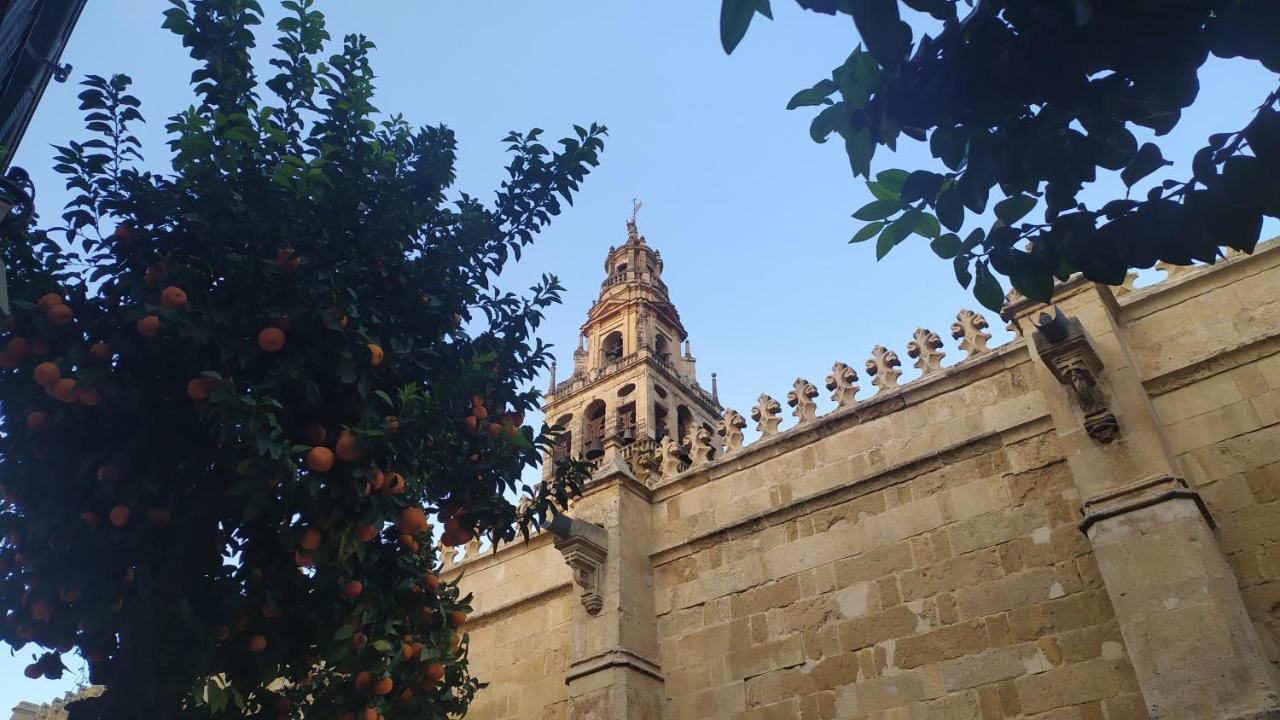Apartamento Saravia Only Families Cordoba Luaran gambar